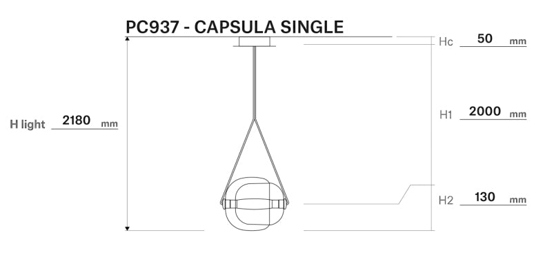 Capsula