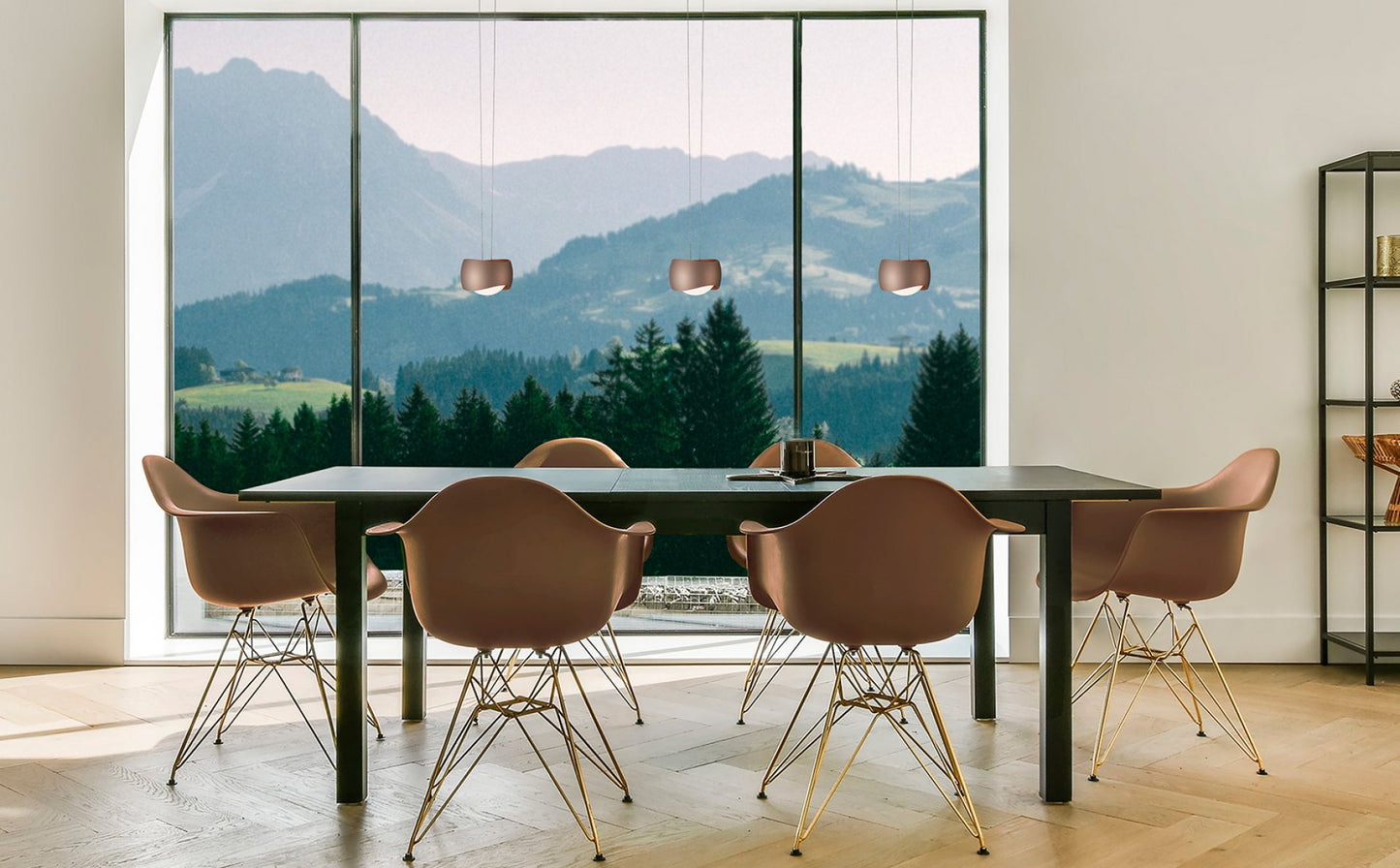 Curved Pendant Lamp