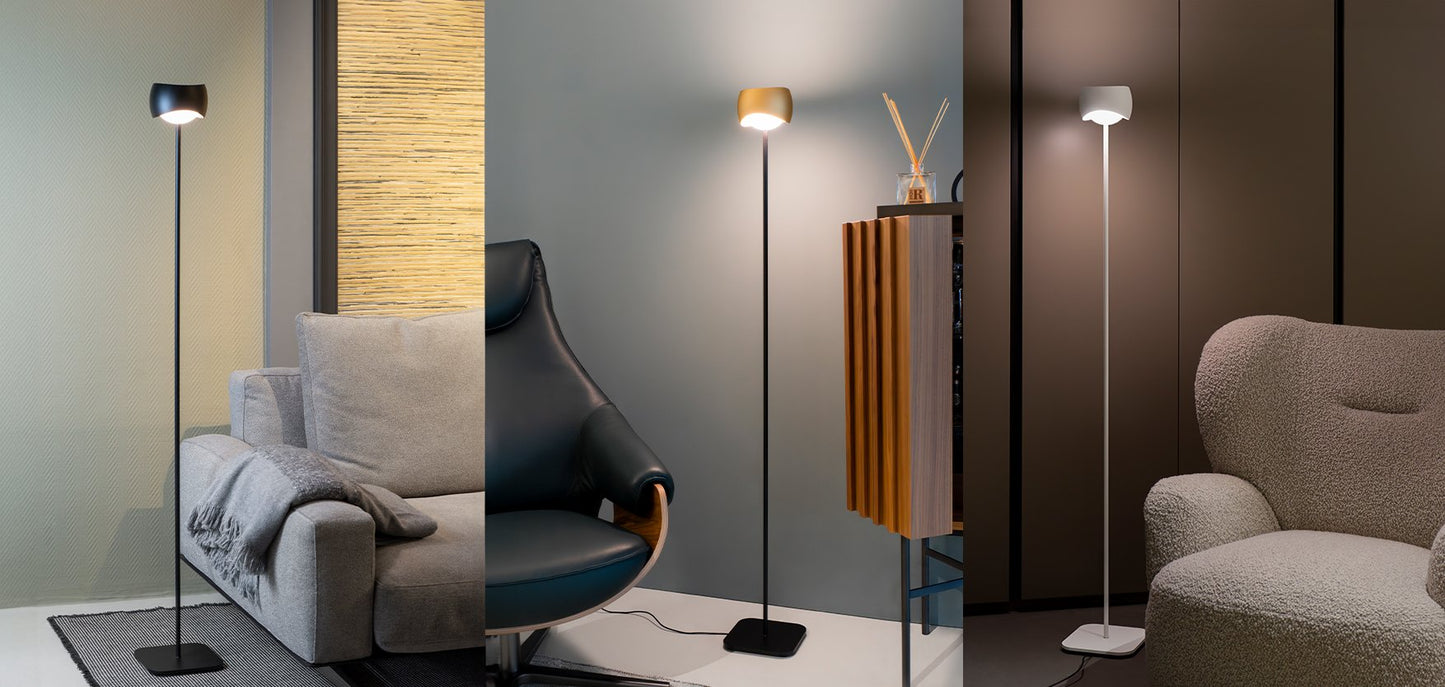 Curved Floor Lamp