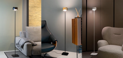 Curved Floor Lamp