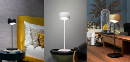 Curved Table Lamp