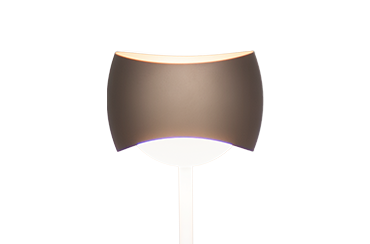 Curved Floor Lamp